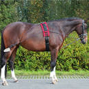 Longering & tömkörning