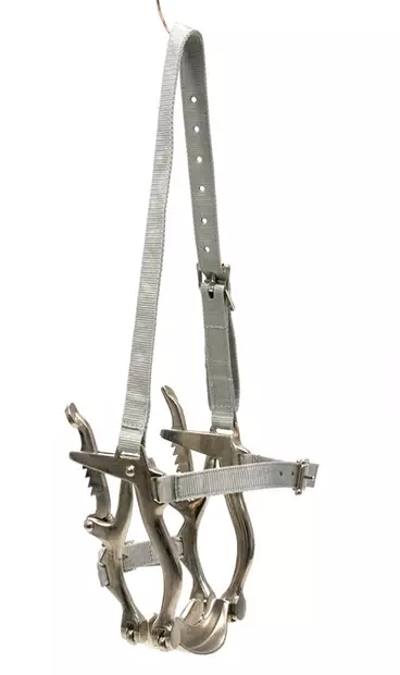 Suunavaaja Pro - Hampaidenhoito - glo598200 - 1