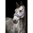 Karvariimu Horse Unique - Nylonriimut  - kq2430 - 19