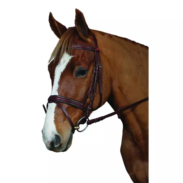 Cheval suitset aachen - Träns - 31370 - 1