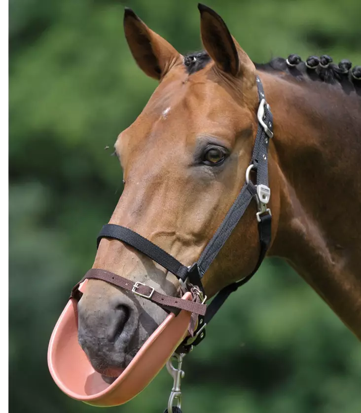 Clothing Bib kuonokoppa - Kuonokopat, imppauspannat ja kaulapannat - wh505100 - 1