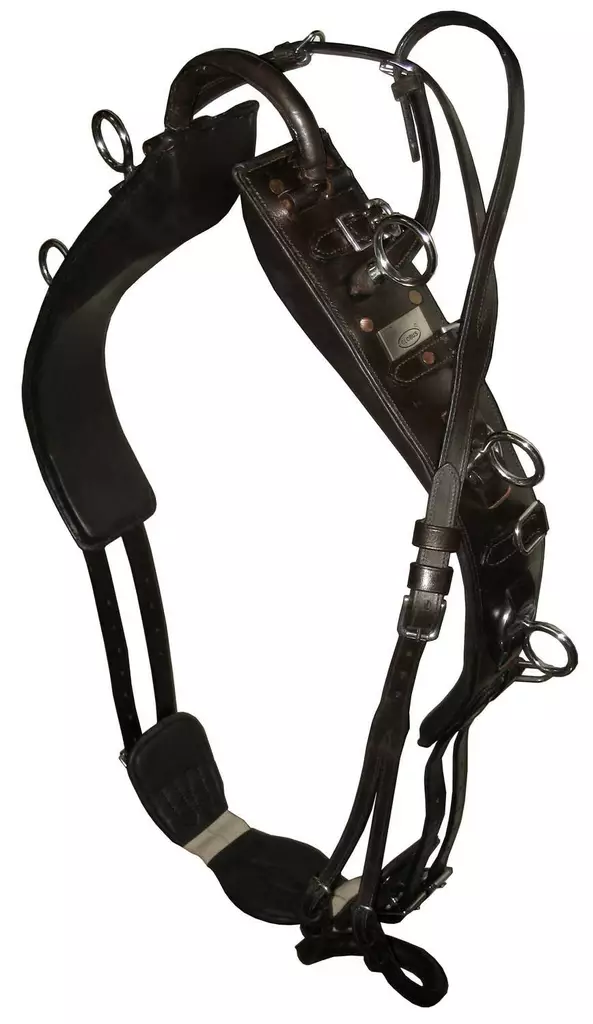 Globus ohjasajovyö Deluxe - Juoksutusvyöt ja ajovyöt - glo475730 - 1