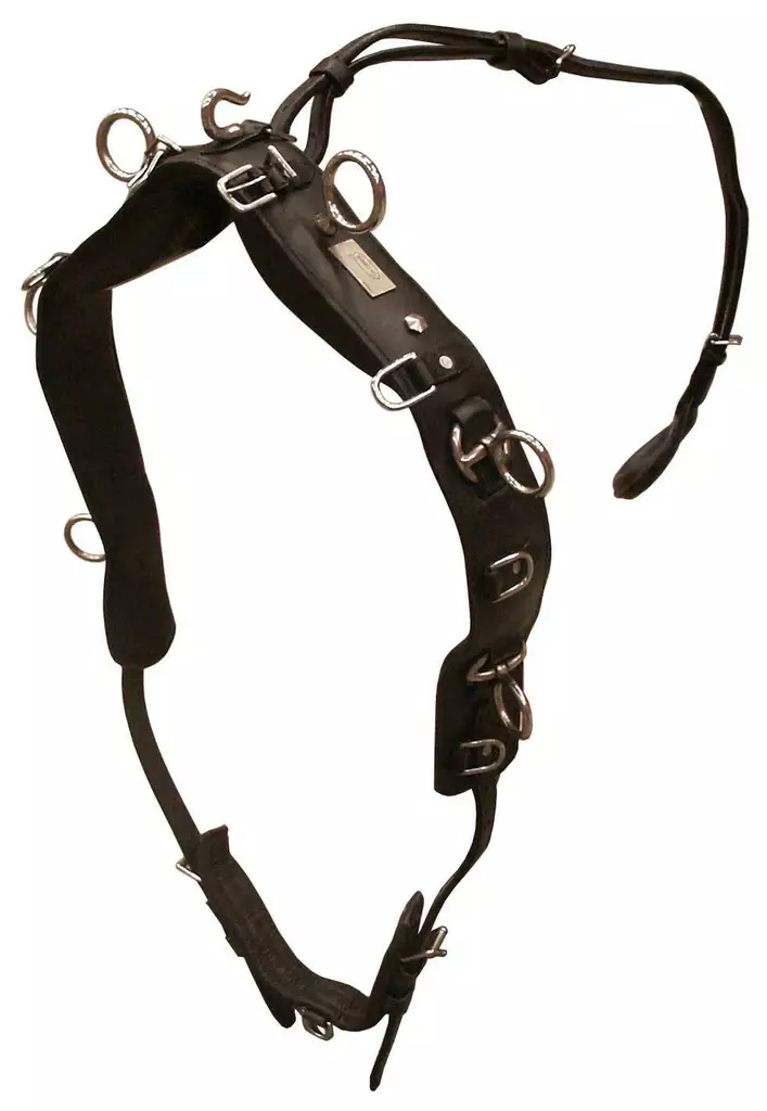 Globus ohjasajovyö ja häntäremmi nahka - Longergjordar & tömkörningsgjordar - glo475720 - 1