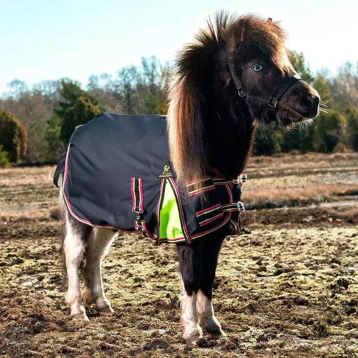 Globus reng- & utegångstäcke för småhästar och föl - Rengtäcken - gloU00340 - 1