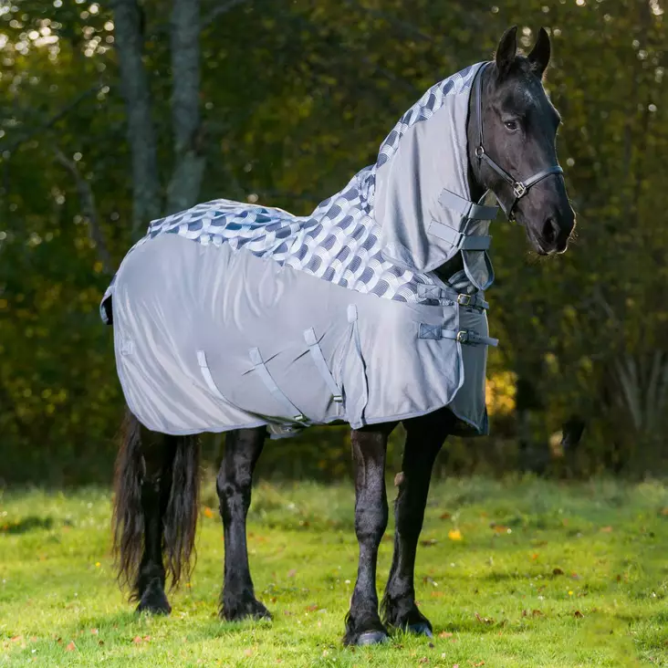 Hyönteissadeloimi Globus Wilda - Rengtäcken - glo3510 - 1