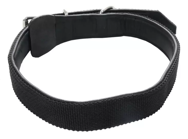 Kaulapanta hevoselle nylon/nahka - Kuonokopat, imppauspannat ja kaulapannat - glo411040 - 1