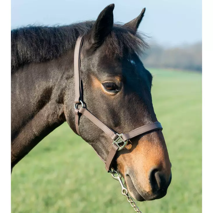 Synteettinen riimu Tekna - Nylongrimmor - glo4040 - 1