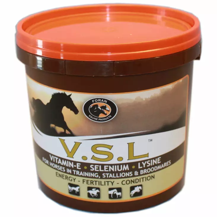 V.S.L. E-vitamiiini jauhe 1kg - Vitaminer - fh1020 - 1