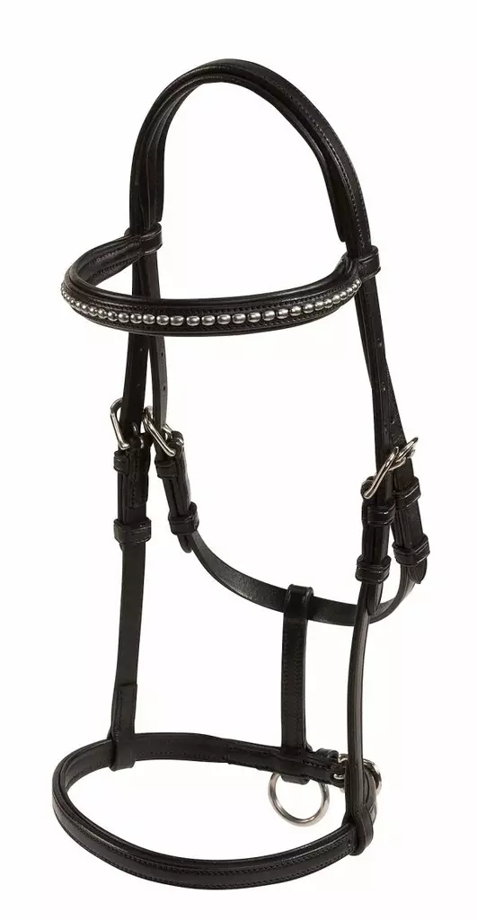 Varsan nahkainen näyttelyriimu Lippo - Utstälningsträns & tyglar - kq2890 - 1