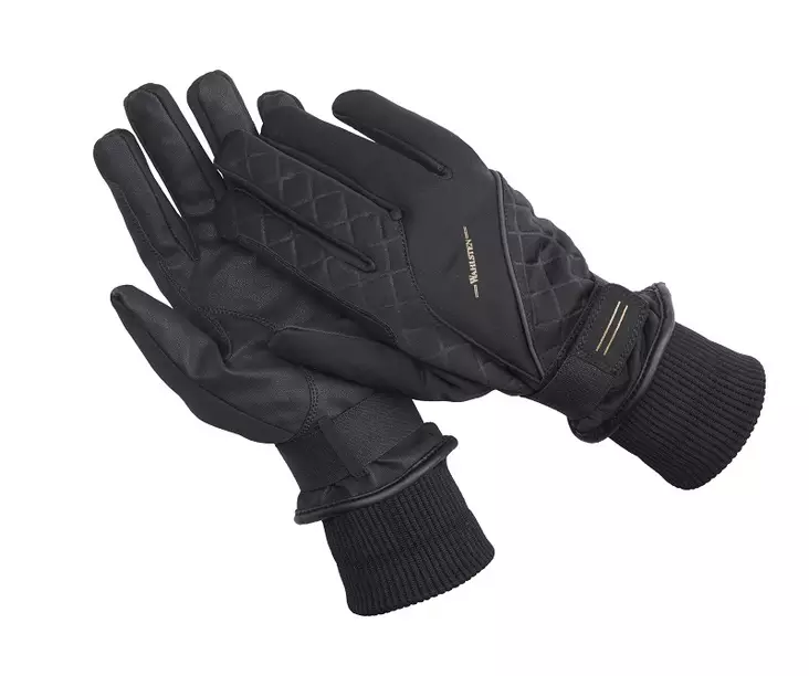 Wahlsten Sylvia softshell thermo hanskat - Talviratsastushanskat - 520016-990 - 1