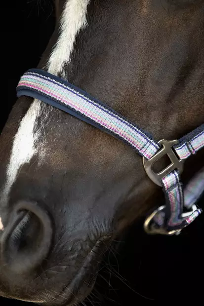 Horse Guard nylongrimma Mascha Aster Purple - Nylongrimmor - hg5051301 - 2