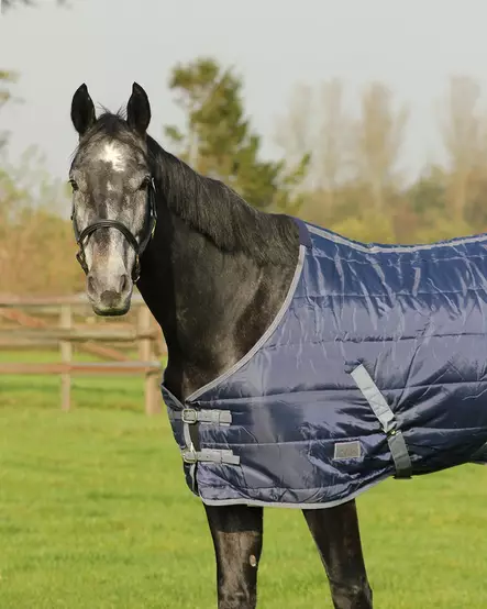 Tallitoppaloimi 150g QHP Start ponille - Tallitoppaloimet - qhp6131 - 2