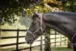 Bucas Dublin nailonriimu blackberry - Nylonriimut - bu41230-61 - 3