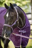 Bucas Dublin nailonriimu blackberry - Nylonriimut - bu41230-61 - 1