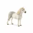 Schleich häst welsh mountain ponny hingst - Leksaker - 13871 - 1