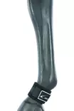 Vuohissuojat neopreenia - Boots - 02561 - 1