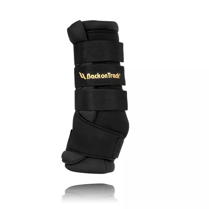 Back on Track Royal benskydd - Stallskyddar - bot2031 - 5