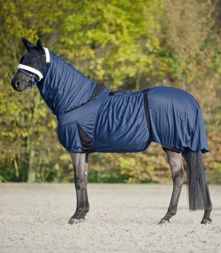 Eksemtäcke Waldhausen - Flugtäcken - wh80571 - 2