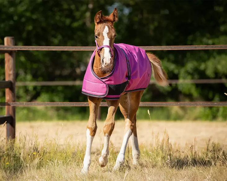 Qhp Varsaloimi Collection sateenpitävä - Sadeloimet - qhp6341 - 1