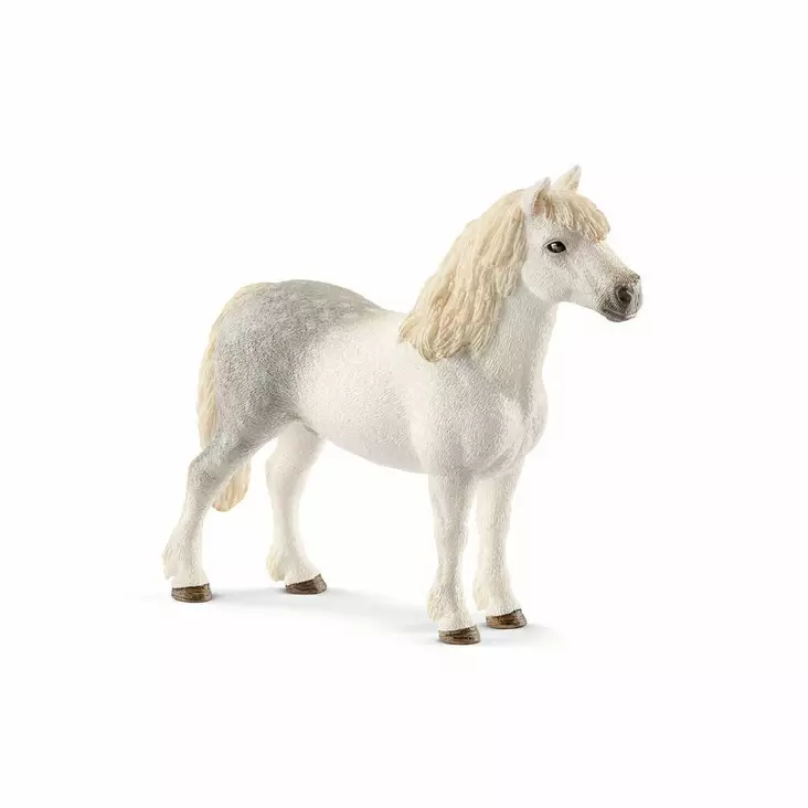 Schleich häst welsh mountain ponny hingst - Leksaker - 13871 - 1
