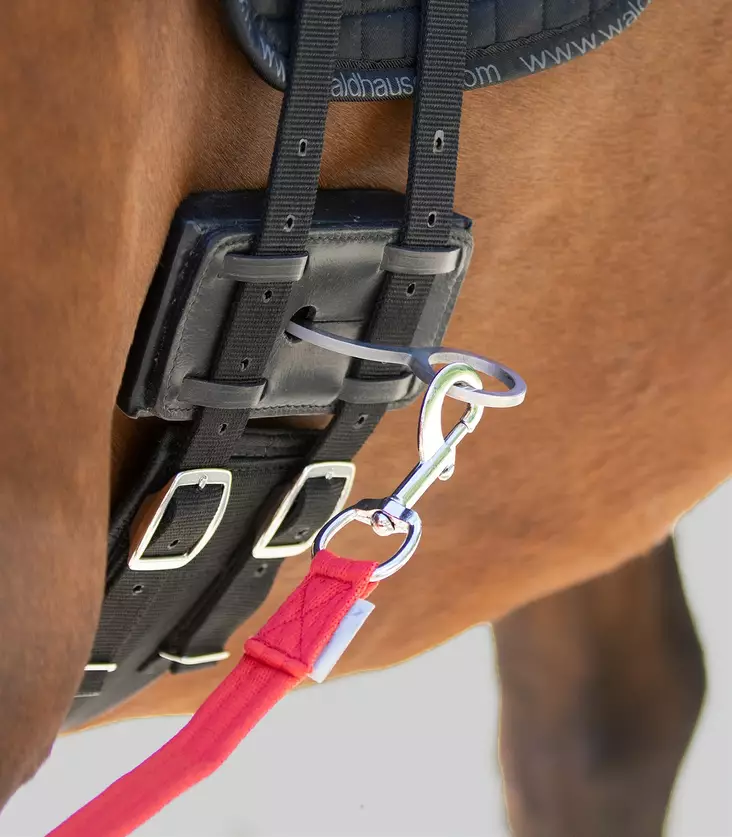 Waldhausen Equibender - Longering hjälptyglar - wh8105201 - 1
