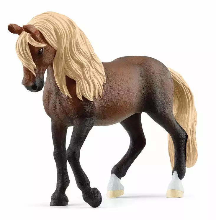 Schleich häst Paso Peruano hingst - Leksaker - 13952 - 1