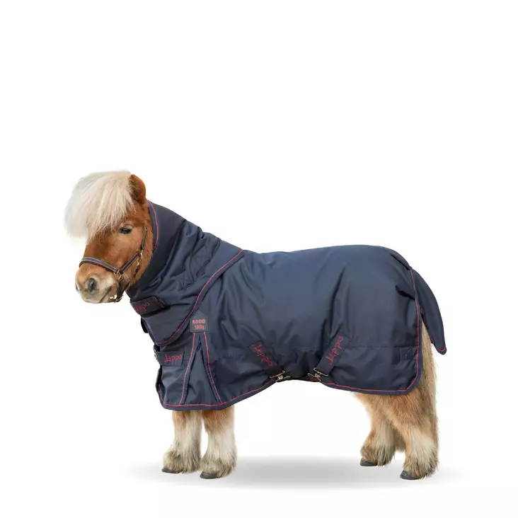 Lippo shettis sadeloimi +kaulapala 100g - Sadeloimet - kq3112 - 1