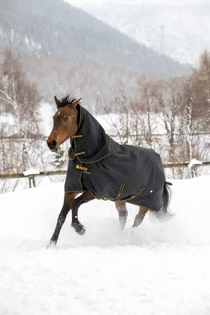 Bucas Irish sadeloimi+kaulapala 50g - Sadeloimet - bu53615-22 - 1