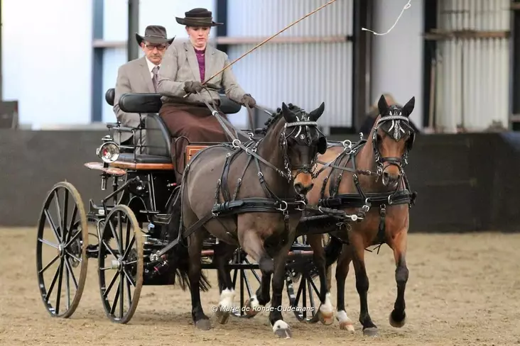 Ideal Equestrian parsele Luxury Full - Valjaat  - HA1302 - 1