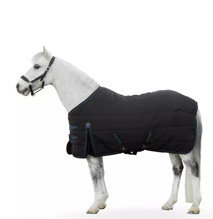 Lippo Supreme ponny stalltäcke 200g svart-blå - Tunna stalltäcken - kq3642 - 1