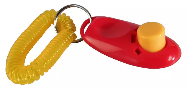 Naksutin rannekkeella Globus - Hundens träning & hobbyer - glo916002 - 1