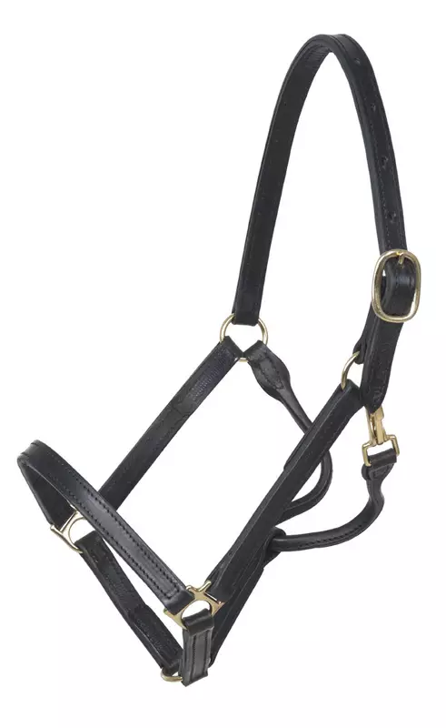 Wahlsten nahkariimu turvalta kiinni - Nahkariimut - 03002 - 1