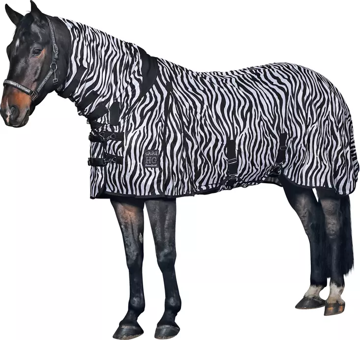 Zebra hyönteisloimi vatsaläpällä - Hyönteisloimet - hg40372 - 1