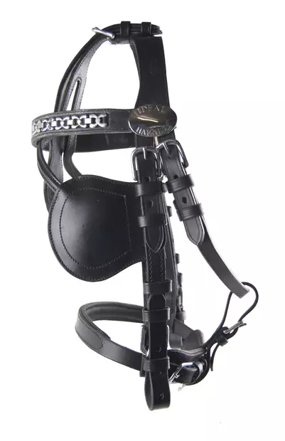 Ideal equestrian turvaremmi ajosuitsiin - Ajokuolaimet  - hd1013 - 2