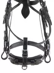 Ideal Equestrian Gullet strap säkerhetsrem - Ajokuolaimet  - hd1013 - 3