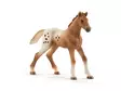 Schleich Appaloosa hästar med tillbehör - Leksaker - 42433 - 5