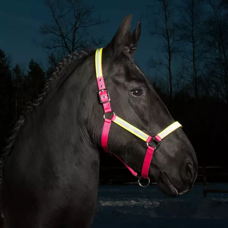 Heijastinriimu Globus Rex - Nylonriimut  - glo4023 - 1