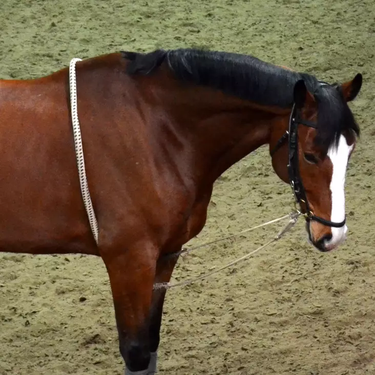 Juoksutusapu Easy - Longering hjälptyglar - 15103 - 1