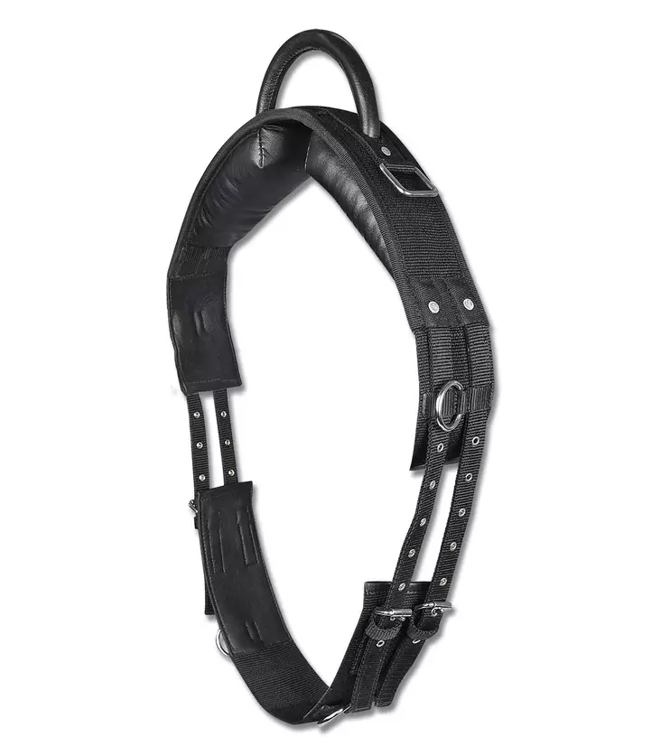 Ratsastusvyö kahvalla Waldhausen - Juoksutusvyöt ja ajovyöt - wh81143 - 1