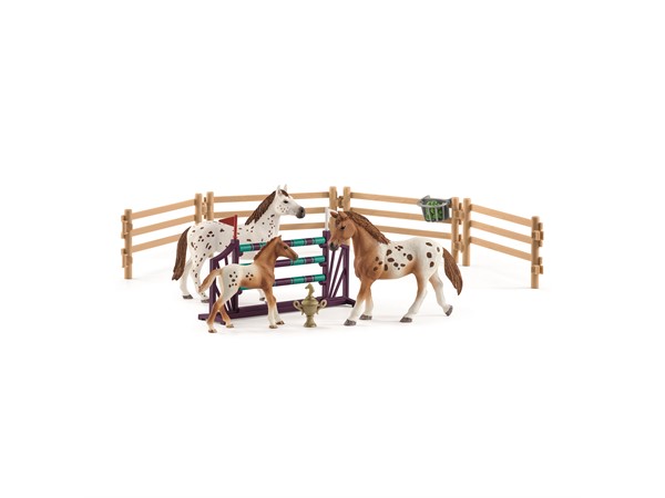 Schleich Appaloosa hästar med tillbehör - Leksaker - 42433 - 1