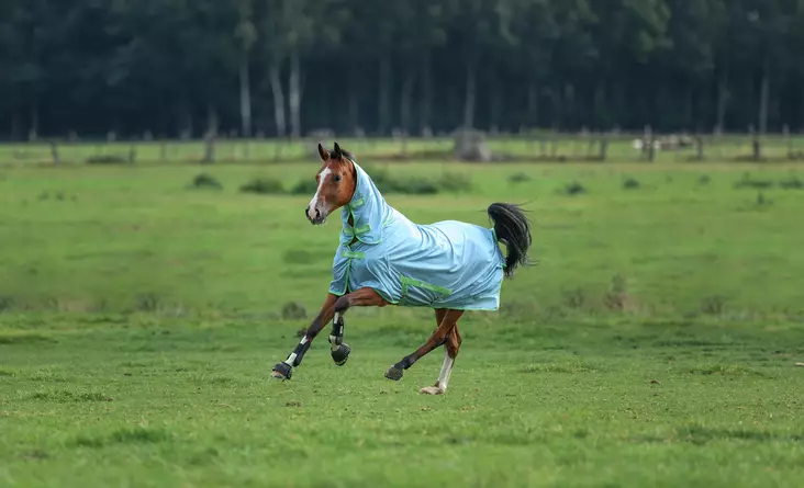 Bucas Freedom ponny flugtäcke fullneck ss24 - Flugtäcken - bu43485-24 - 1