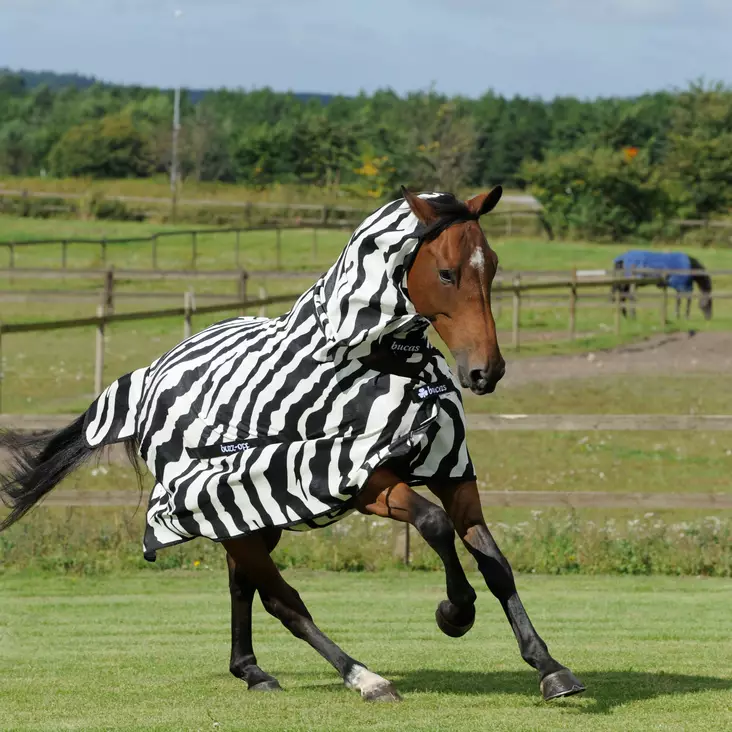 Bucas Buzz-Off Zebra hyönteisloimi FN - Hyönteisloimet - 7044 - 1