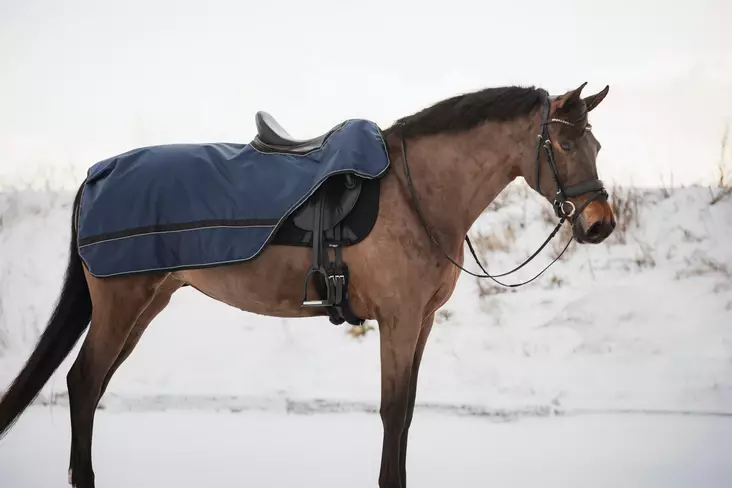 Catago Becca vedenpitävä ratsastusloimi - Ratsastusloimet - ca800042014 - 1