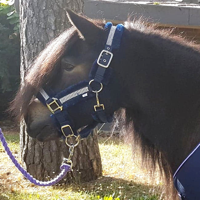 Karvariimu timanteilla shettis - Nylonriimut  - glo403484 - 1