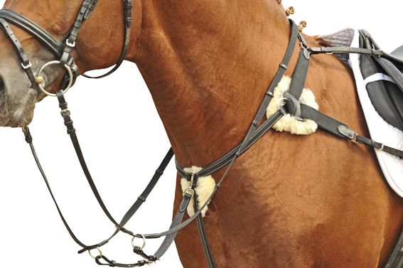 Rintaremmimartingaali 5-piste kiinnitys - Apuohjat - hkm4154 - 1