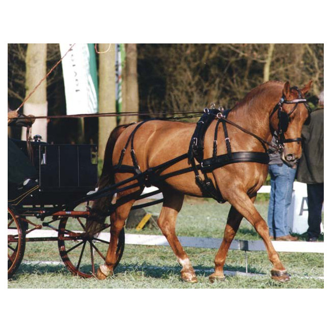 Ideal Equestrian Luxury harness - Valjaat  - 6034 - 1