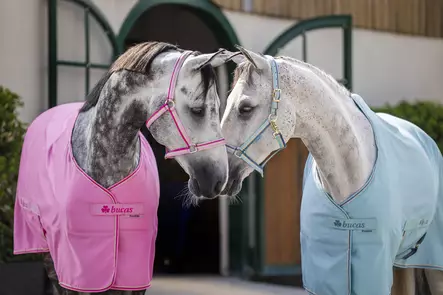 Bucas Freedom Ponny Twill stalltäcke - Lätta stalltäcken - bu41705-6975 - 2