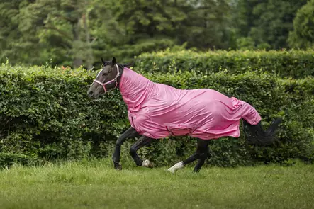 Bucas Freedom hyönteisloimi aurora pink - Hyönteisloimet - bu43445-75 - 2