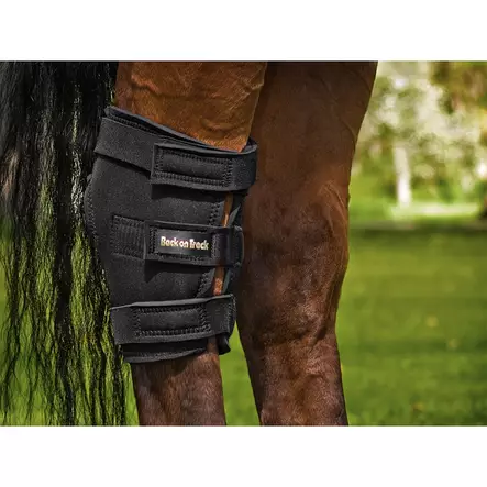 Back on Track kinnersuoja aukolla oikea - Suojat taakse - bot19575 - 2