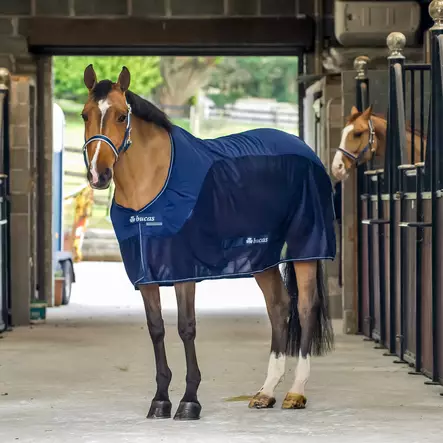 Bucas Competition Cooler navy - Talliloimet ohuet - bu63935 - 1